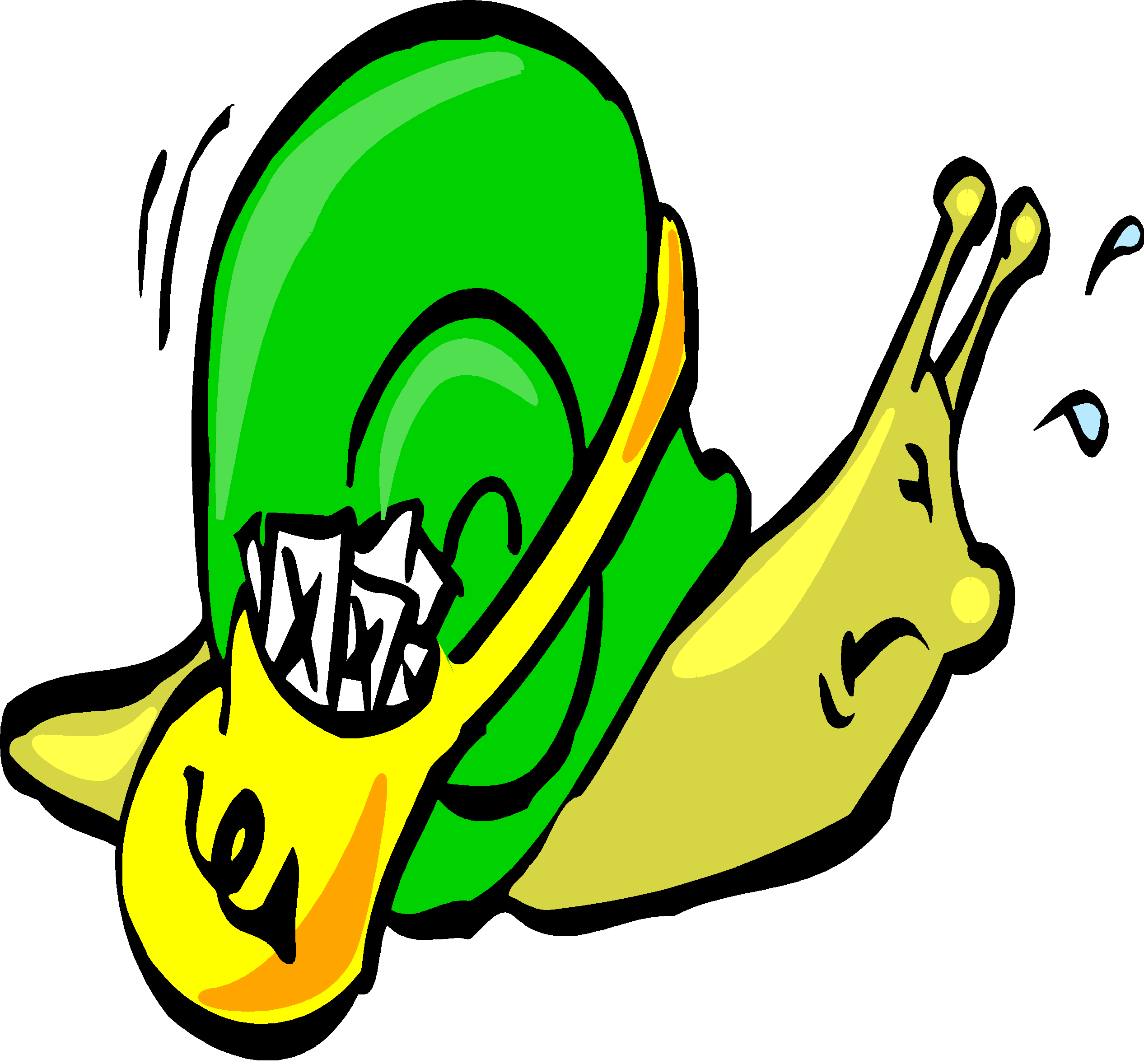 Snail Mail Image